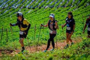 BIB: 339
                            <button type="button" onclick="openModal(19164507)" class="btn btn-primary btn-sm float-right btn-popup" data-toggle="modal" data-target=".modal-high-quality">
                        <i class="fas fa-shopping-cart"></i> Add to Cart
                    </button>
                                            <button type="button" onclick="isThisMe(19164507, true)" class="btn btn-success btn-sm float-right btn-popup btn-isme hidden" data-toggle="tooltip" data-placement="bottom" title="นี่คือรูปของคุณใช่ไหม คลิกที่นี่เพื่อเอาเข้าอัลบั้ม">
                        <i class="fas fa-plus"></i> Add to album
                    </button>
                    <button type="button" onclick="isThisMe(19164507, false)" class="btn btn-warning btn-sm float-right btn-popup btn-isnotme hidden">
                        <i class="fas fa-ban"></i> Remove from album
                    </button>